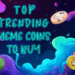 Don’t Miss Out! 6 Viral Meme Coins in December 2024 That Could Skyrocket Your Portfolio!