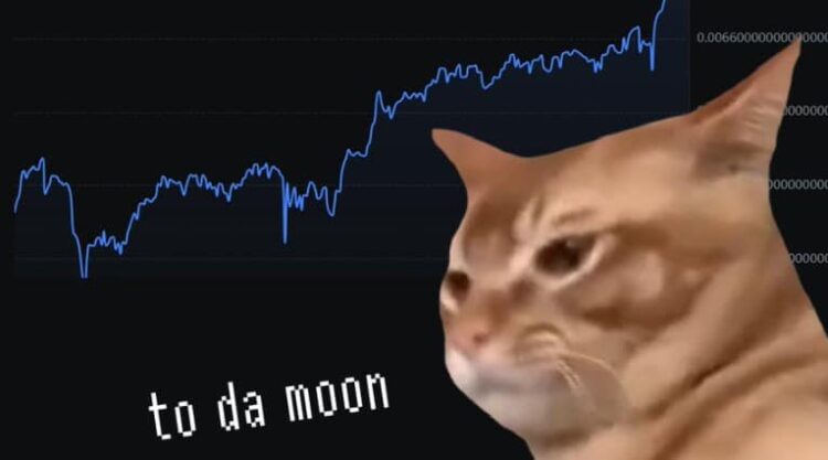 Mog Coin Rival Catslap Volume Soars After MEXC Listing