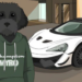 Trending Meme Coins to Watch Now, December 22 – Baby Doge Coin, Popcat (SOL), Myro