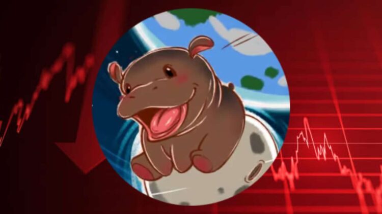 Moo Deng Price Drops 19% As Investors Flock To STARS