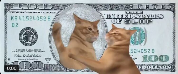 Catslap To Burn $1M In SLAP Tokens