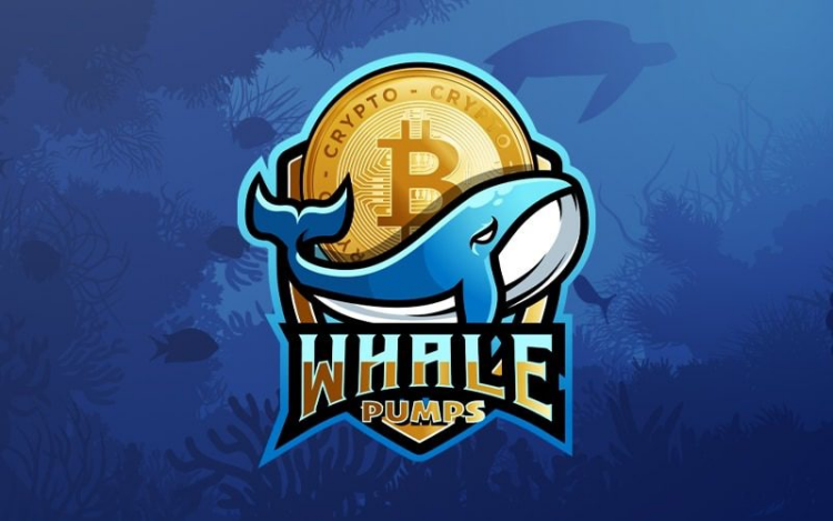 Best Crypto Signals 2025? This Telegram Group Made 100,000% Profit Last Year