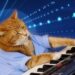 Keyboard Cat Price Soars 76%, But It Can’t Match This Rival