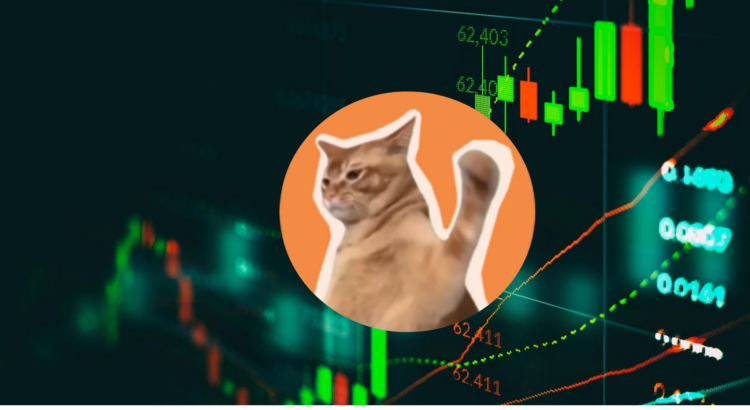Catslap To Reveal $100K Winners