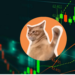 Catslap To Reveal $100K Winners