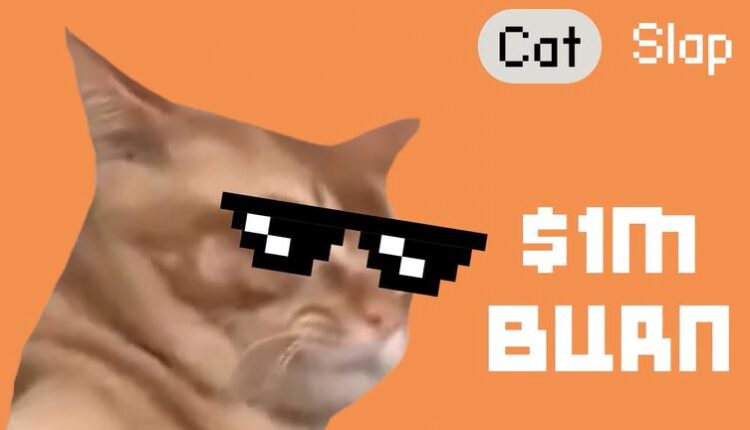 Catslap $1M Burn Sends SLAP Up 42%, Leaving Popcat Behind