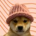 Dogwifhat Price Plunges 9% As SOLX ICO Goes Parabolic