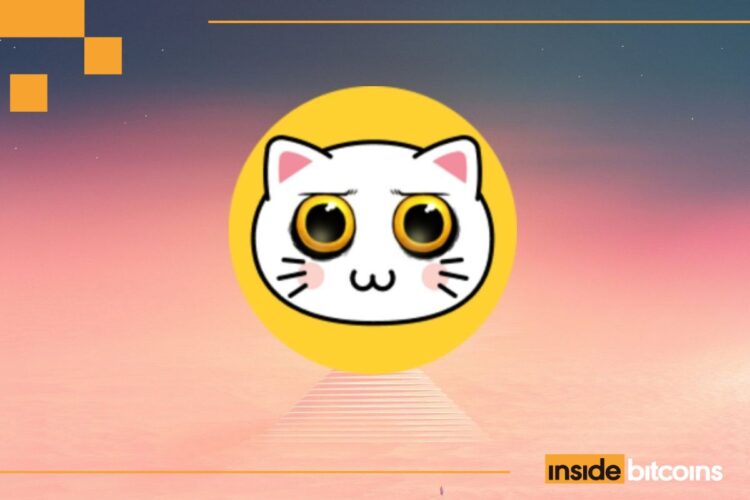 KIKICat Price Soars 33% As This Rival Plans $1M Token Burn