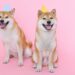 Galaxy Digital Reveals Bold Dogecoin Price Prediction For 2025