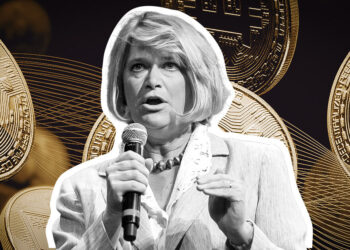 Senator Lummis urges halt to Silk Road Bitcoin sale, demands FDIC accountability on crypto records