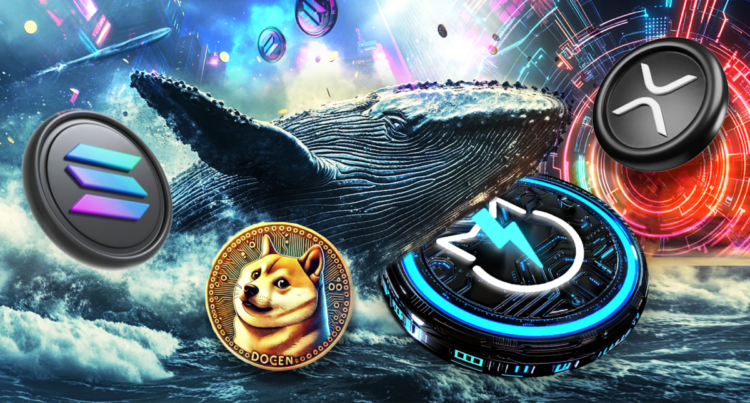 Popular Crypto Coins Whales are Adding to Their Portfolio: Solana, JetBolt, Dogecoin, and XRP