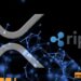XRP Price Jumps But Traders Buy These Diversified Crypto Funds