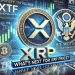 XRP ETF Filings Gain SEC Attention – What’s Next for XRP Price?