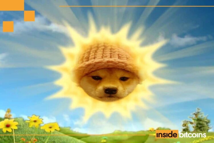 Dogwifhat Price Dips 3% As Traders Eye This ICO For 100x Gains