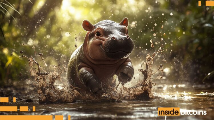 Moo Deng Price Pumps 9% As Traders Buy ICO Offering Free BTC