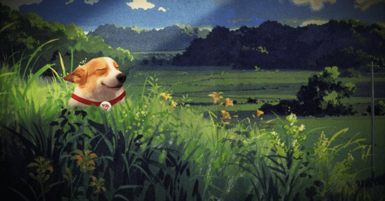 New Meme Coins to Invest In Now, February 17 – Doginme, Sundog, Wojak