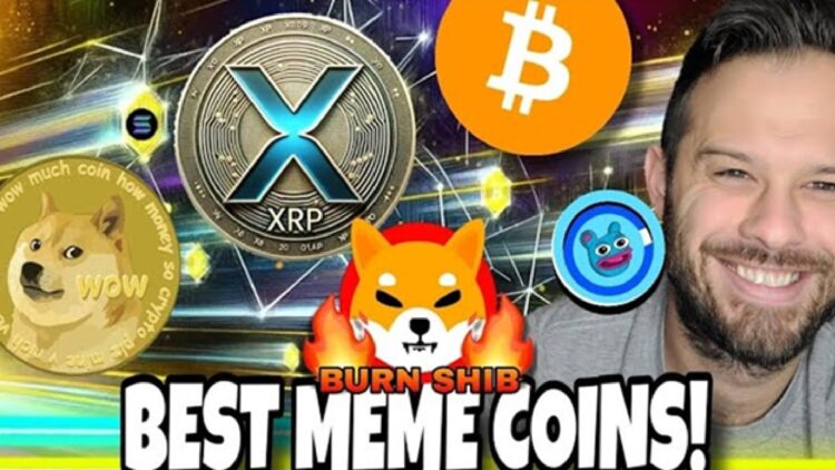 Meme Coin Search Volume Soars as Prices Drop