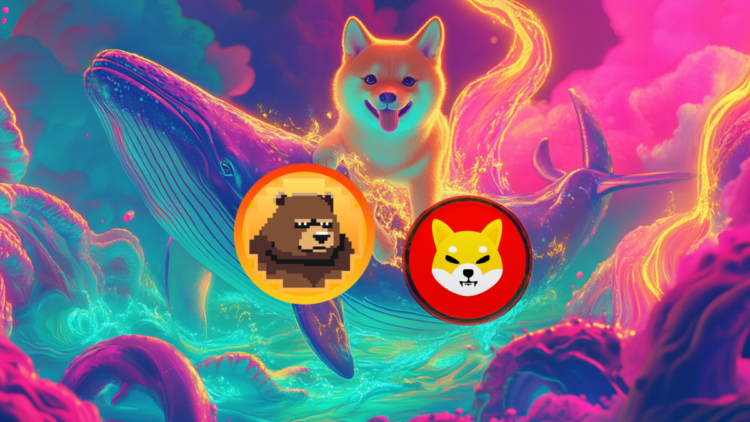 Whale Alert: Massive 2025% Inflow into Shiba Inu (SHIB), What’s Next?