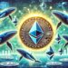 Whales Add 190,000 Ethereum In The Last 24 Hours – The Accumulation Continues