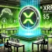 XRP Metrics Flash Bullish – Active Addresses Up 620%, Exchange Holdings Decline
