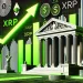 XRP Whales Accumulate—Bullish Signs Emerge After SEC Case Ends