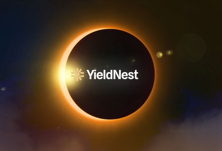 Inside the Story of Amadeo Brands and His DeFi Consistency