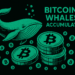 Bitcoin News: Massive Accumulation by Long-Term Holders Could Send BTC to $85K