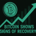 Bitcoin Shows Signs of Recovery: Is It the Start of a Real Trend or a Dead Cat Bounce?