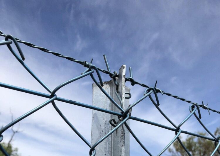 Chainlink Price Continues To Hover Around $12.5 — Levels To Watch