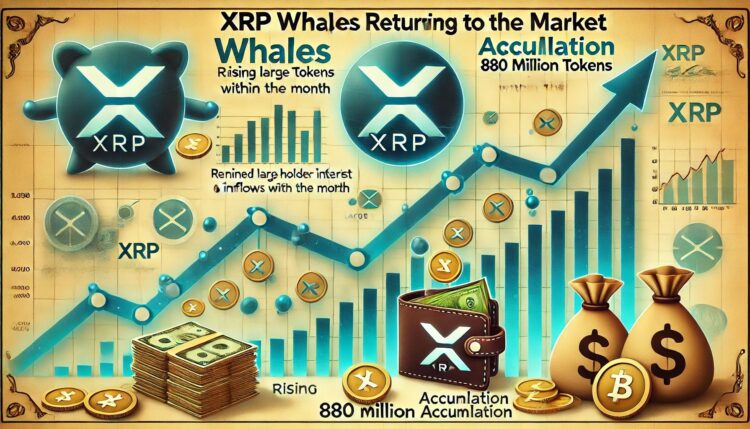 XRP Whales Are Back – 880 Million Tokens Accumulated This Month