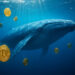 Bitcoin whale places 40x leveraged $830 million long position on Hyperliquid
