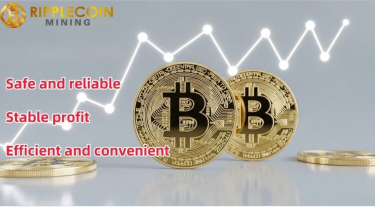 Easily Earn $8,000 a Day – Bitcoin (BTC) Holders Flock