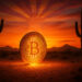 Arizona state won’t buy Bitcoin