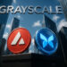 Grayscale snubs heavyweight XRP in top 20 crypto list