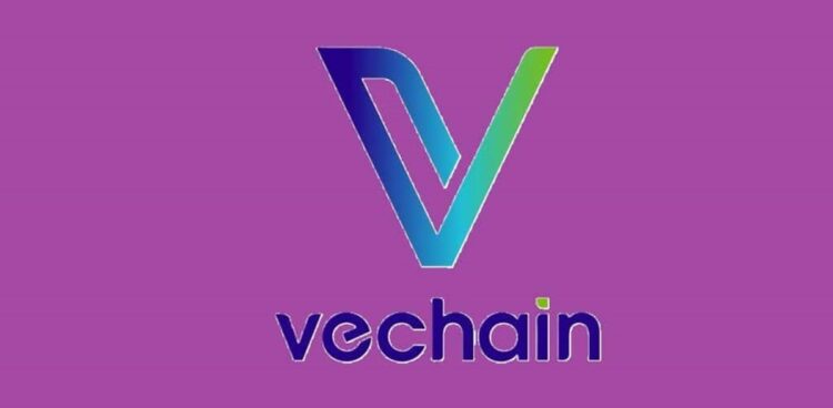 VeChain Stargate Goes Live July 1, Big VET Upgrade