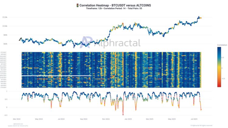 Bitcoin Correlation To Altcoins Is Collapsing: A Warning Sign?
