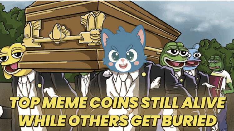 Top 10 Meme Coins to Stack Now: Experts See 531% Listing ROI for This Once-Trolled Cat