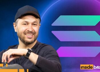 Solana Co-Founder Calls Meme Coins And NFTs “Digital Slop”