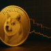 Is The Dogecoin Crash Over? Analyst Says This Is Crucial Now