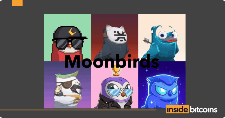 Moonbirds Jumps +1,300% In Monthly NFT Sales – Find Out Why