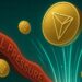 TRON Spot Market Signals Relief – Seller Dominance Weakens After Cycle High