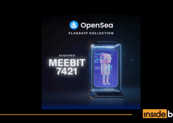 OpenSea Adds Meebits #7421 Into Its NFT Reserve