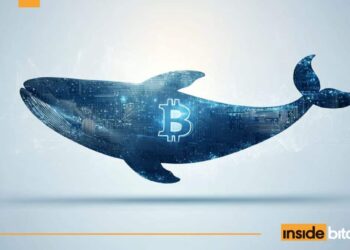 Bitcoin’s Path To $150K Blocked By Whales, David Bailey Says