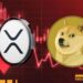 XRP ETF Posts Record ETF Volume, Dogecoin ETF Also Debuts