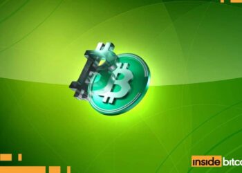 Bitcoin Cash Price Dips As Grayscale Seeks Nod For BCH ETF