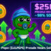 Little Pepe ($LILPEPE) Presale Nears Sell-Out as Meme Coin Market Eyes 100x