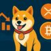 Maxi Doge as the Best Crypto Presale Amidst XRP & Bitcoin Sharp Drop