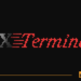 DX Terminal Hits +$1.6M In 24Hrs Sales