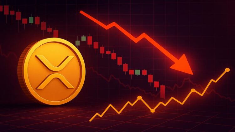 XRP DEX Volumes Surge As Price Plunges: Smart Money Accumulating?