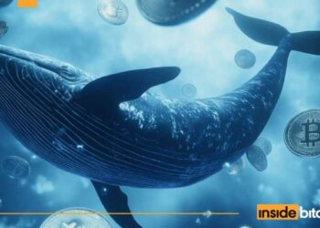 Crypto Whale Who Profited Millions From Crash Places 10X Trade